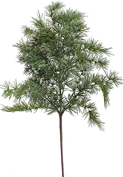 Kunstzweig Zedernast, Botanic-Haus, Höhe 80 cm günstig online kaufen