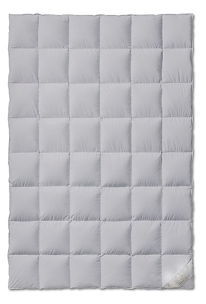 EIDERDREAM Daunenbettdecke EIDERDREAM Eiderdaunendecke – 100 günstig online kaufen