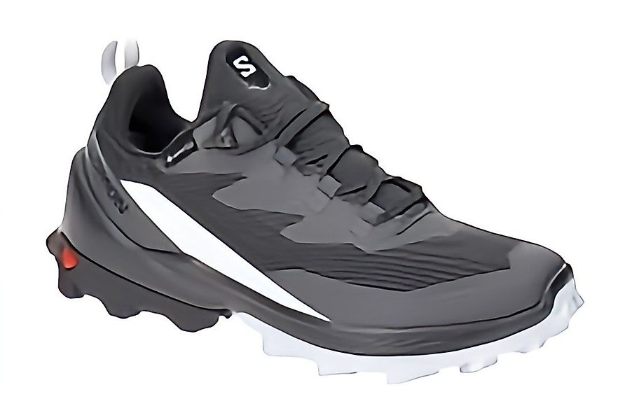 Salomon Cross Over 2 GTX W Outdoorschuh günstig online kaufen