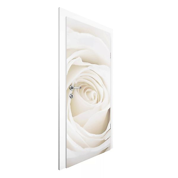 Türtapete Pretty White Rose günstig online kaufen