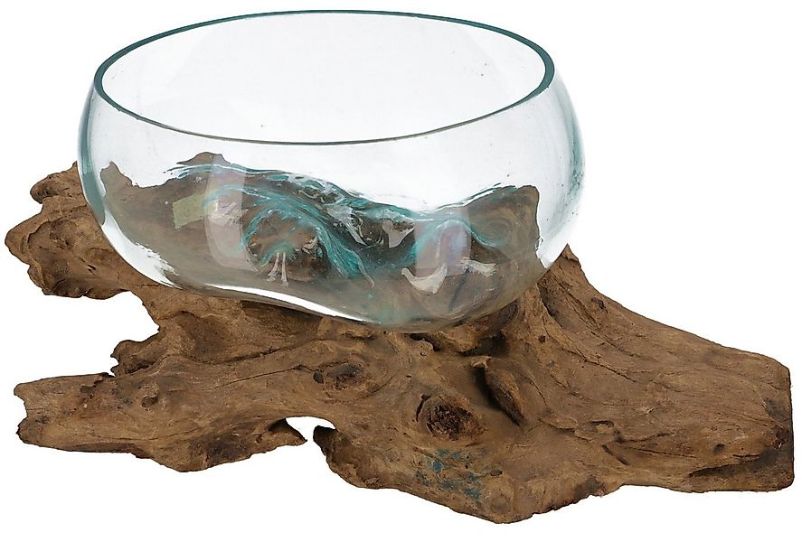 Guru-Shop Dekovase Wurzelholz Vase, Schale, Schüssel - Ø Glas 25.. günstig online kaufen