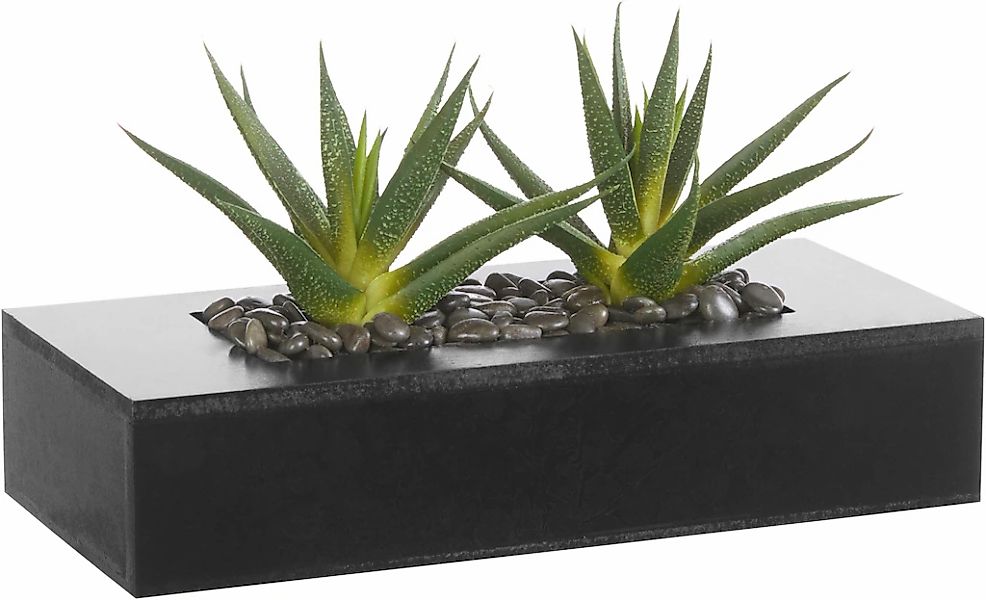 Kunstkaktus, Creativ green, Höhe 16 cm günstig online kaufen