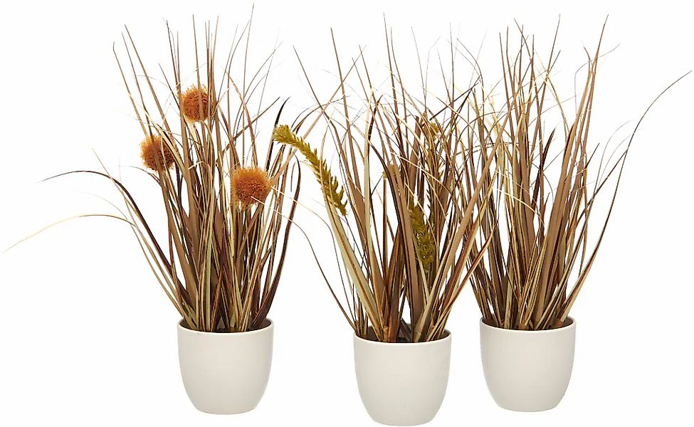 Creativ green Kunstgras "Grasbusch Düne", als Set aus drei Ausführungen günstig online kaufen