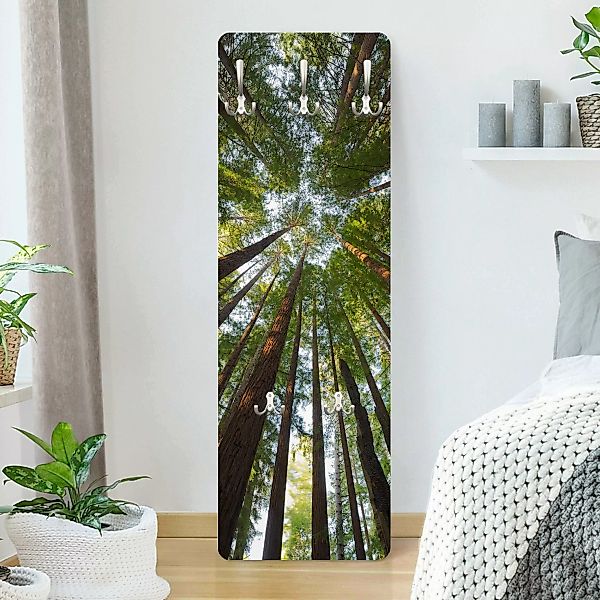 Wandgarderobe Holzpaneel Natur & Landschaft Mammutbaum Baumkronen günstig online kaufen