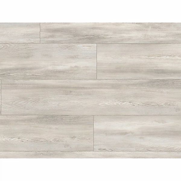 Kaindl Masterfloor Laminat 8 mm Kiefer Rotara günstig online kaufen