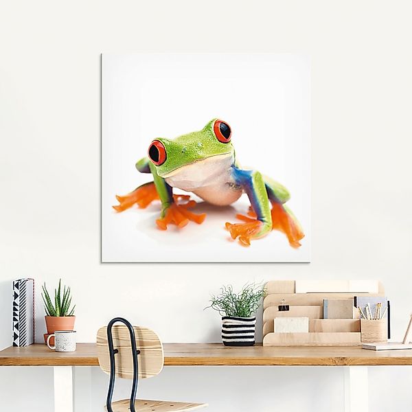 Artland Glasbild "Großaufnahme eines Frosches vor weiß" Wassertiere 1 Stk. günstig online kaufen