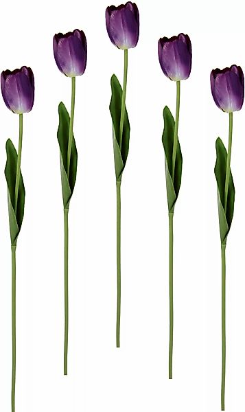 I.GE.A. Kunstblume "Real Touch Tulpen", 5er Set künstliche Tulpenknospen, K günstig online kaufen
