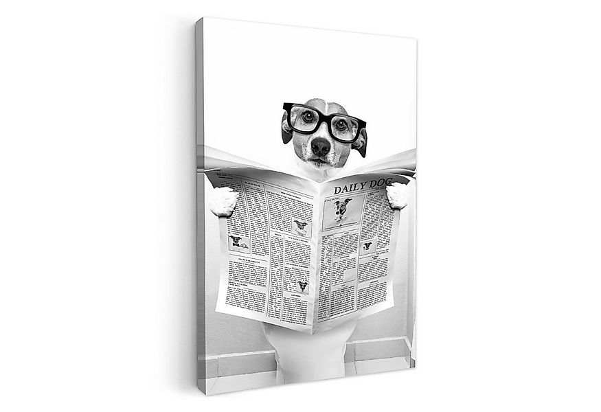 OneMillionCanvasses® Leinwandbild Hund - Zeitung - Toilette - Schwarz und w günstig online kaufen