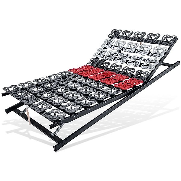 Matratzen Perfekt TerraMed T-Flex Teller-Lattenrost 80x200 cm Manuell Verst günstig online kaufen