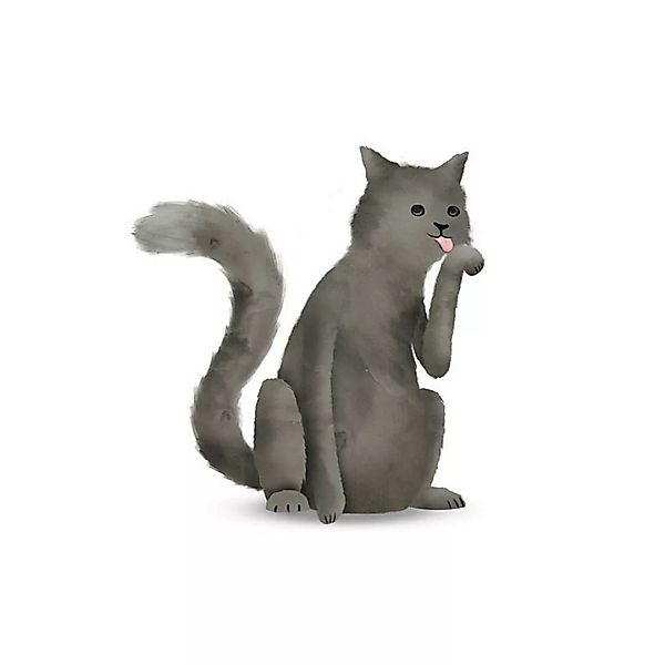 Komar Wandbild Cute Animal Cat Katze günstig online kaufen