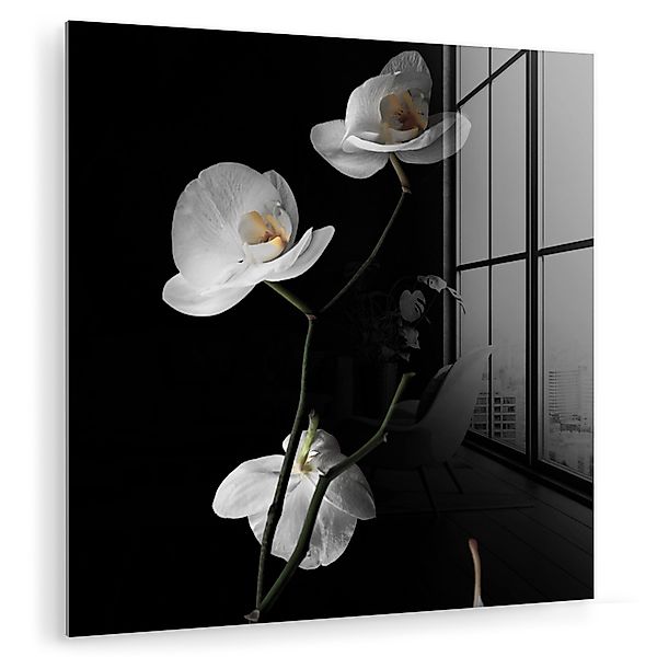 MuchoWow Acrylglasbild Orchidee - Blumen - günstig online kaufen