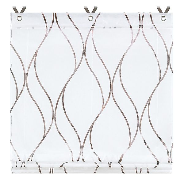 Joyswahl Raffrollo, mit Hakenaufhängung, freihängend, mit günstig online kaufen