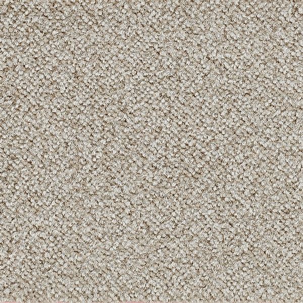 Bodenmeister Teppichboden »Juno, Velours - meliert, Made in Belgium«, recht günstig online kaufen