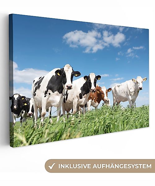 OneMillionCanvasses® Leinwandbild Kühe - Landleben - günstig online kaufen