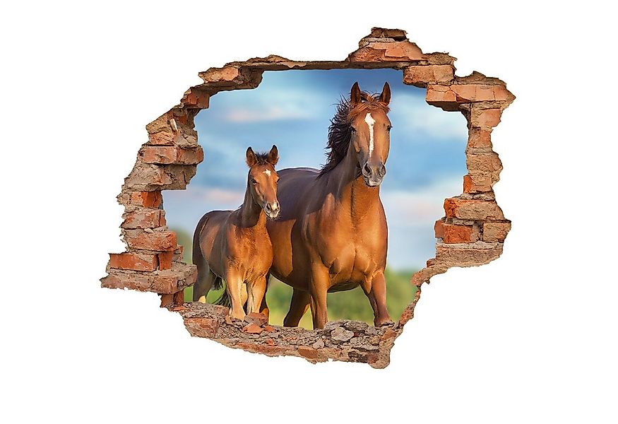 WallSpirit Wandtattoo Wanddurchbruch "Pferd mit Fohlen", Selbstklebend, rüc günstig online kaufen