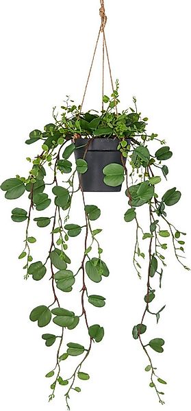 Kunstpflanze Bauhinia, Creativ green, Höhe 60 cm, mit detailgetreuen Blattr günstig online kaufen