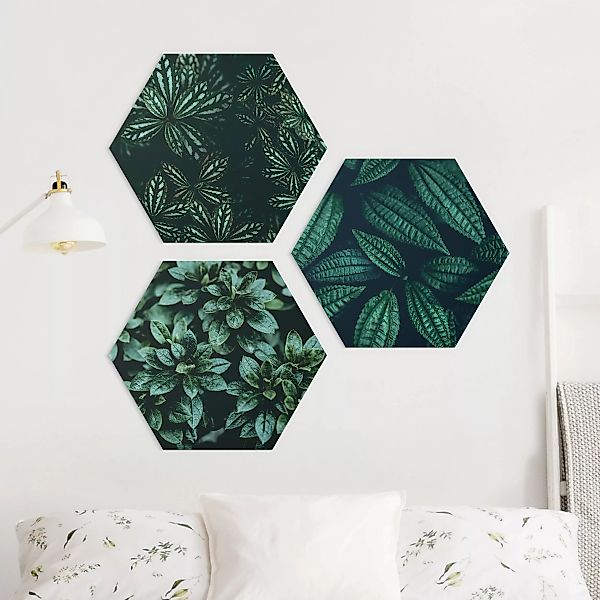 3-teiliges Hexagon-Alu-Dibond Bild Blätter Trio günstig online kaufen