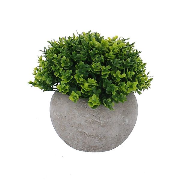 Kunstblume Grünpflanze in Topf - grün/grau günstig online kaufen