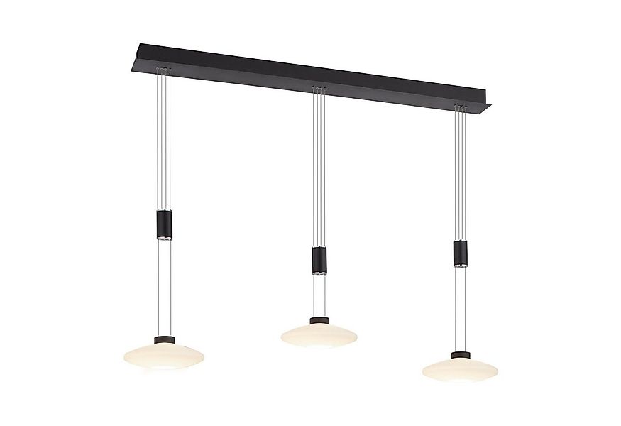 Paul Neuhaus Pendelleuchte LAUTADA, LED fest integriert, Warmweiß, LED, dim günstig online kaufen