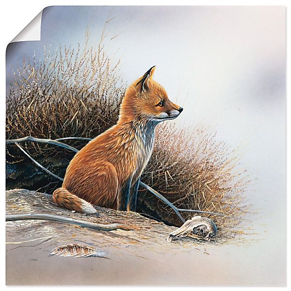 Artland Wandbild "Kleiner Fuchs", Wildtiere, (1 St.), als Leinwandbild, Pos günstig online kaufen