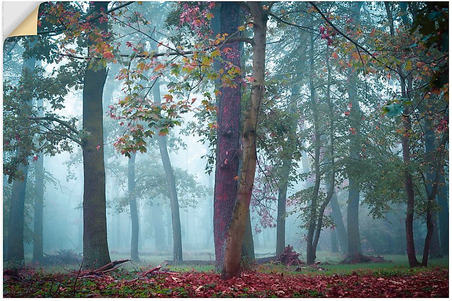 Artland Wandbild "Nebel im Wald", Waldbilder, (1 St.), als Alubild, Outdoor günstig online kaufen