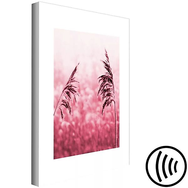 Bild auf Leinwand Ähren-Detail - farbiges Feldfoto in Rosa-Färbung mit Getr günstig online kaufen