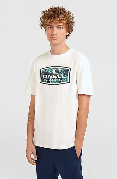 O'Neill T-Shirt O'NEILL GRAPHIC T-SHIRT günstig online kaufen