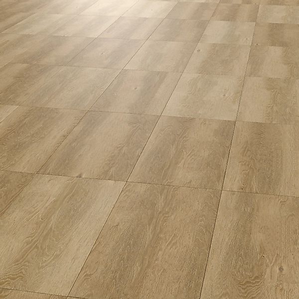 Bodenfliese Feinsteinzeug Solio Beige Glasiert Matt 29,8 cm x 59,8 cm günstig online kaufen