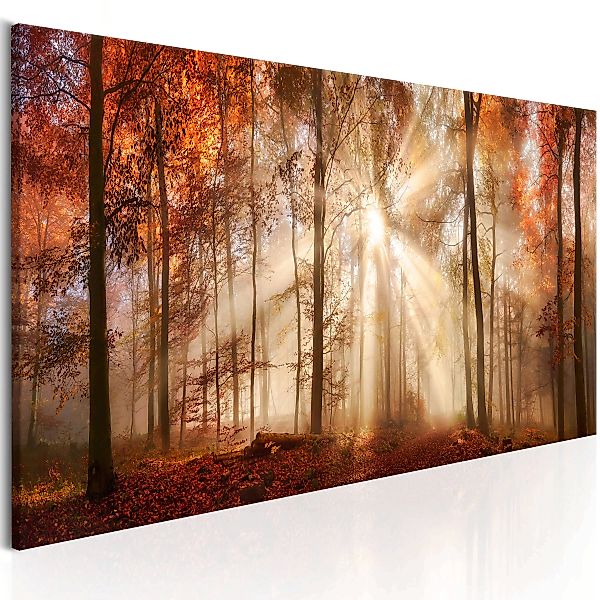 Wandbild - Autumnal Dawn günstig online kaufen