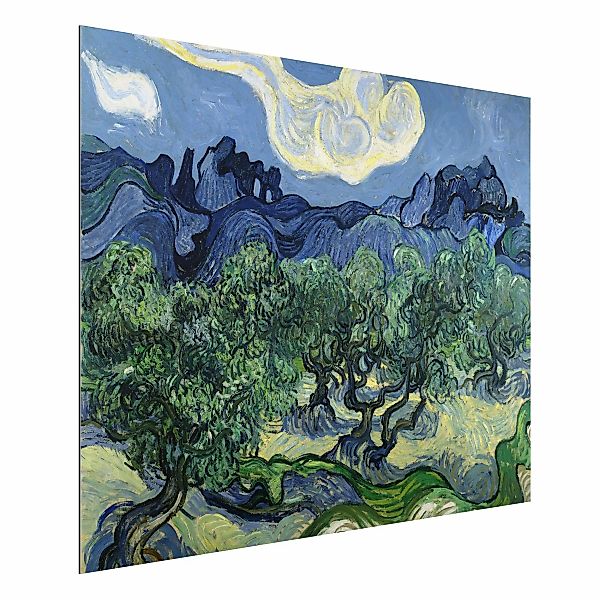 Alu-Dibond Bild - Querformat 4:3 Vincent van Gogh - Olivenbäume günstig online kaufen