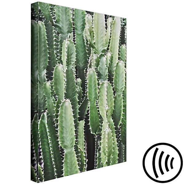 Bild auf Leinwand Cactus Garden (1 Part) Vertical XXL günstig online kaufen