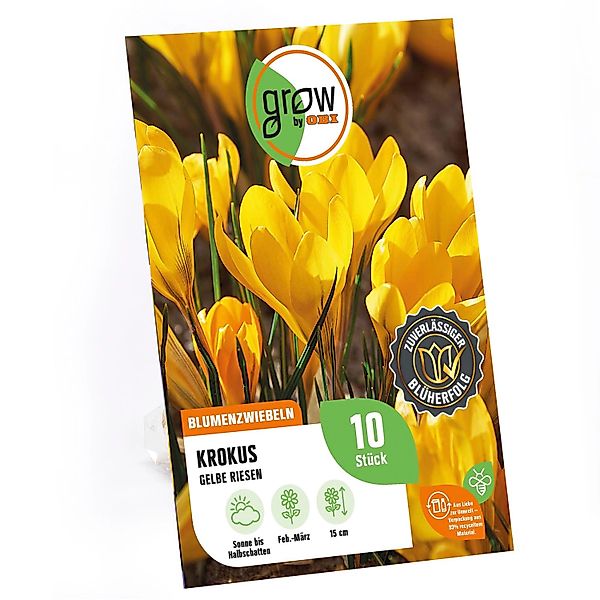 GROW by OBI Krokus Gelbe Riesen Gelb 15 cm Crocus flavus günstig online kaufen