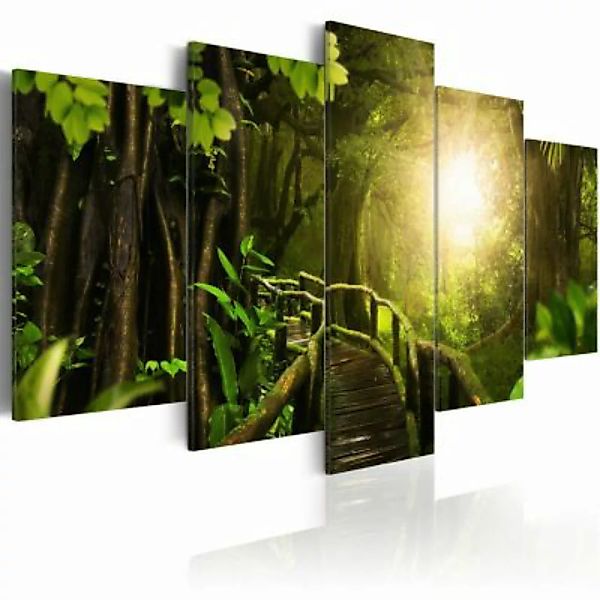 artgeist Wandbild Magical Jungle mehrfarbig Gr. 200 x 100 günstig online kaufen