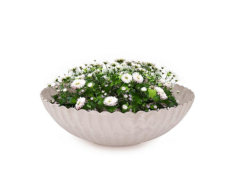 matches21 HOME & HOBBY Blumentopf Pflanzschale für draussen Dekoschale rund günstig online kaufen