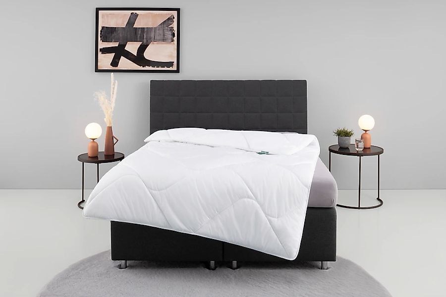 fan Microfaserbettdecke "Microfaser kochfest, Bettdecken für Sommer und Win günstig online kaufen