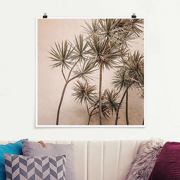 Poster Sonnengeküsste Palmen günstig online kaufen