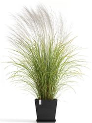 ECOPOTS Blumentopf Rotterdam 35 + Wassersystem günstig online kaufen