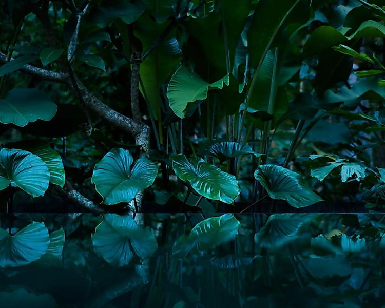 Fototapete "Tropical" 3,50x2,55 m / Glattvlies Perlmutt günstig online kaufen