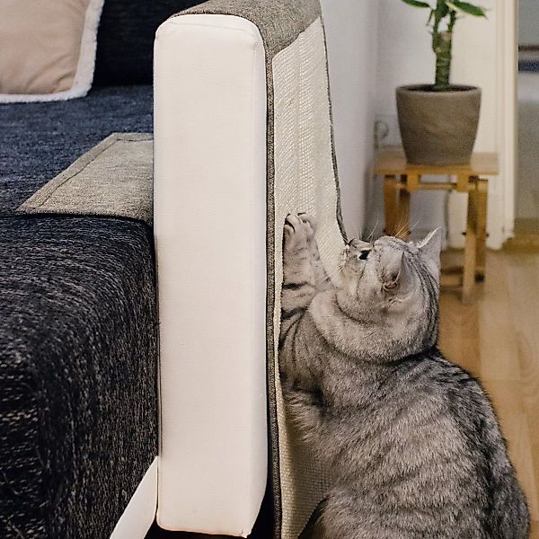 Navaris Kratzpappe Katzen Kratzmatte Kratzschutz Sofa günstig online kaufen