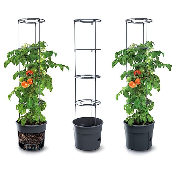 KAGM Pflanzkübel Blumenkübel Rankhilfe Blumentopf für günstig online kaufen