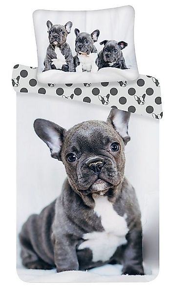 Kinderbettwäsche Französische Bulldogge, Renforcé, 2 teilig günstig online kaufen