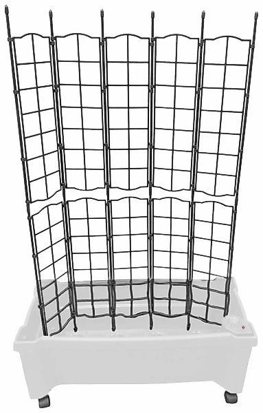 KHW Spalier "Calypso", BxTxH: 79x35x115 cm, Pflanzkasten mit Rollen und Bew günstig online kaufen