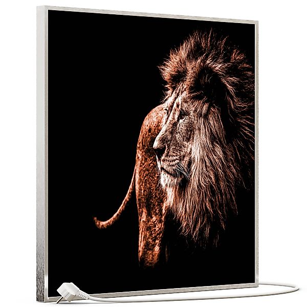 STEINFELD Heizsysteme Infrarotheizung, Bild, 350W 60x60cm, günstig online kaufen