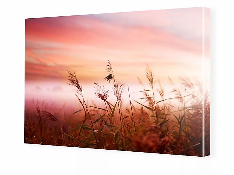 Foto auf Leinwand im Format 60 x 45 cm im Format 60 x 45 cm günstig online kaufen