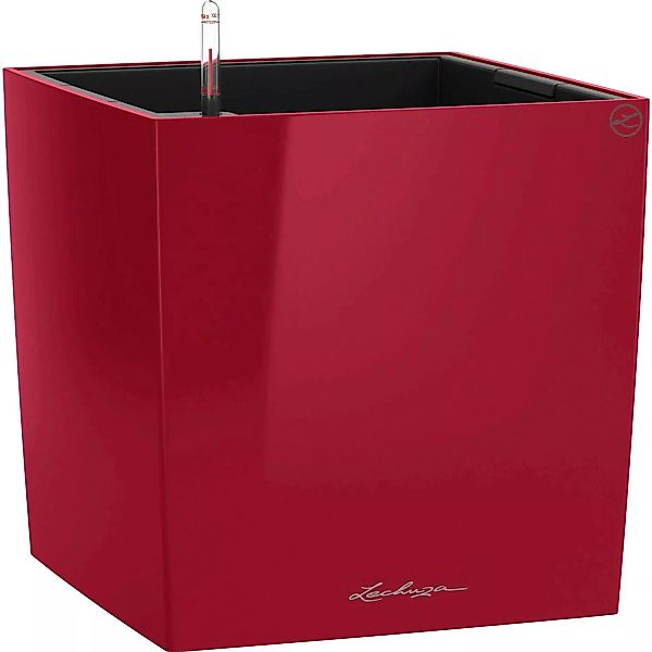Lechuza Pflanzgefäß Cube Premium 50 cm x 50 cm Scarlet Rot hochglanz günstig online kaufen