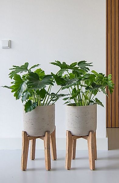 finestgreen Pflanzkübel Charlie Feet High günstig online kaufen