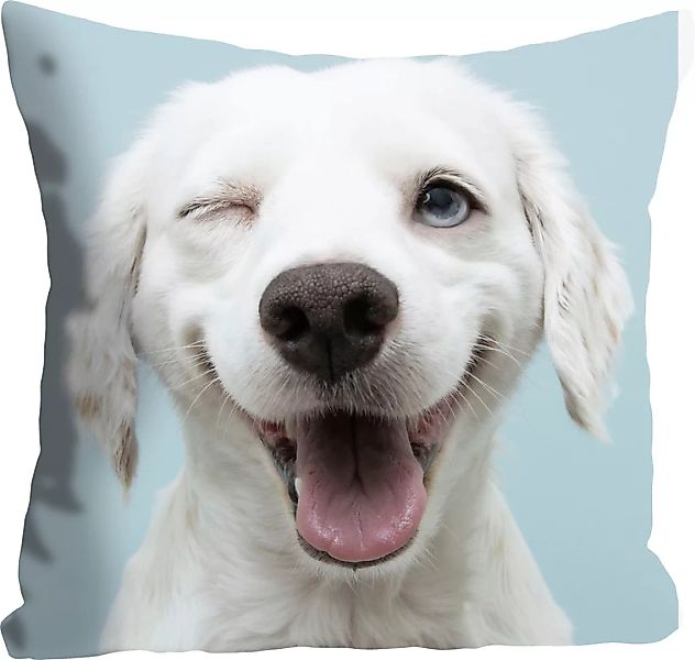 queence Dekokissen »Crazy Dog« günstig online kaufen