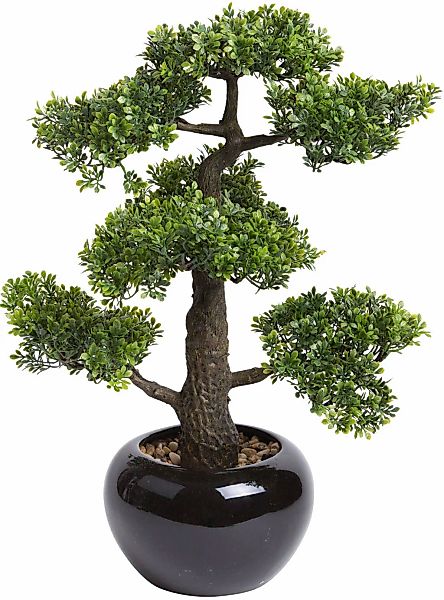 Botanic-Haus Kunstbonsai "Ficus Bonsai" günstig online kaufen