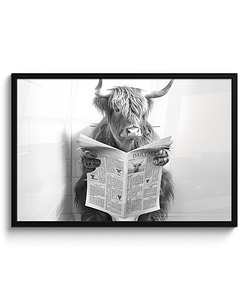 MuchoWow Poster Scottish Highlander - Tier günstig online kaufen