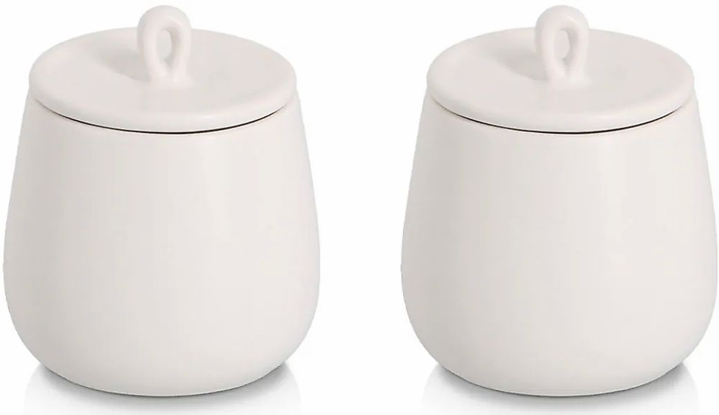 Zeller Present Gewürzbehälter "Gewürzdose, 2-tlg." Set, 2 Stk. tlg. schützt günstig online kaufen